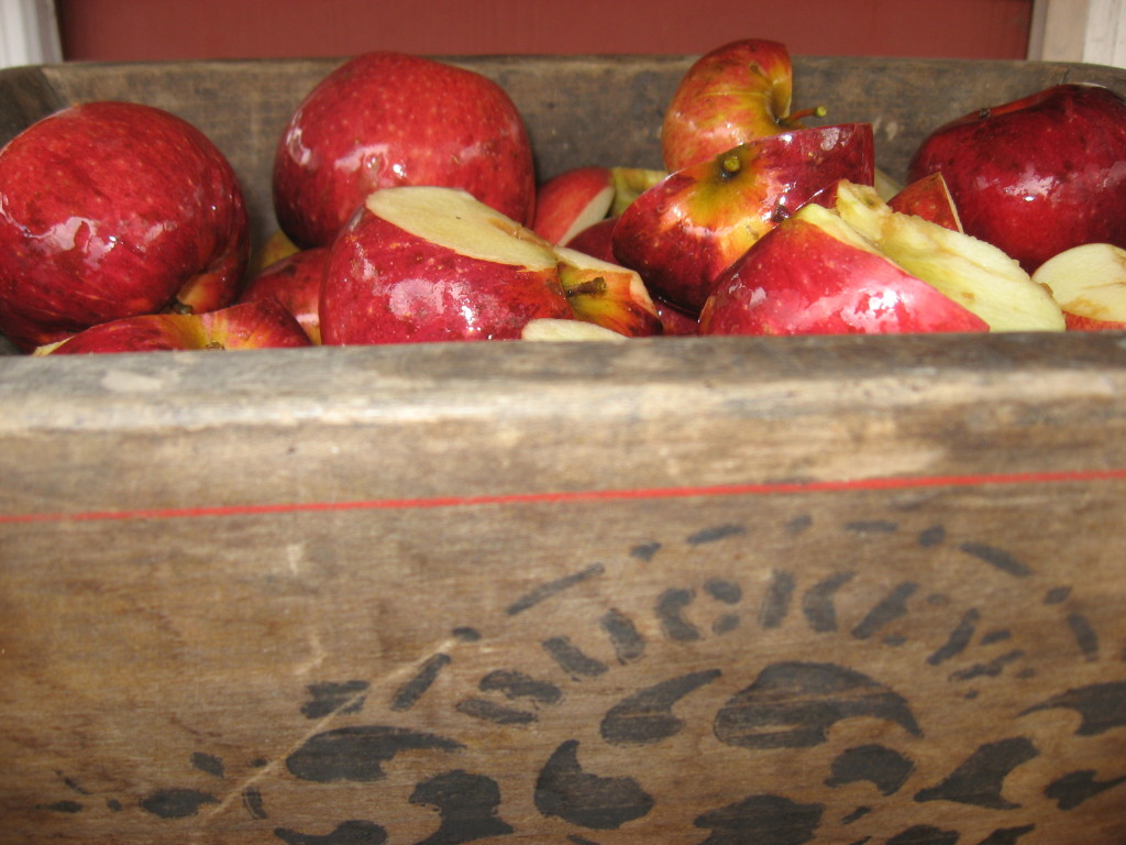 Apples ready for the cider press